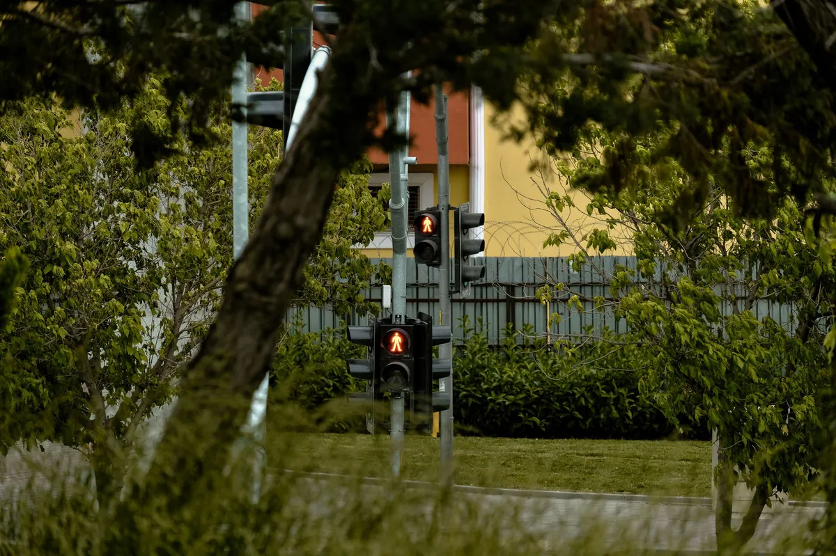 urban intersection with pedestrian signals