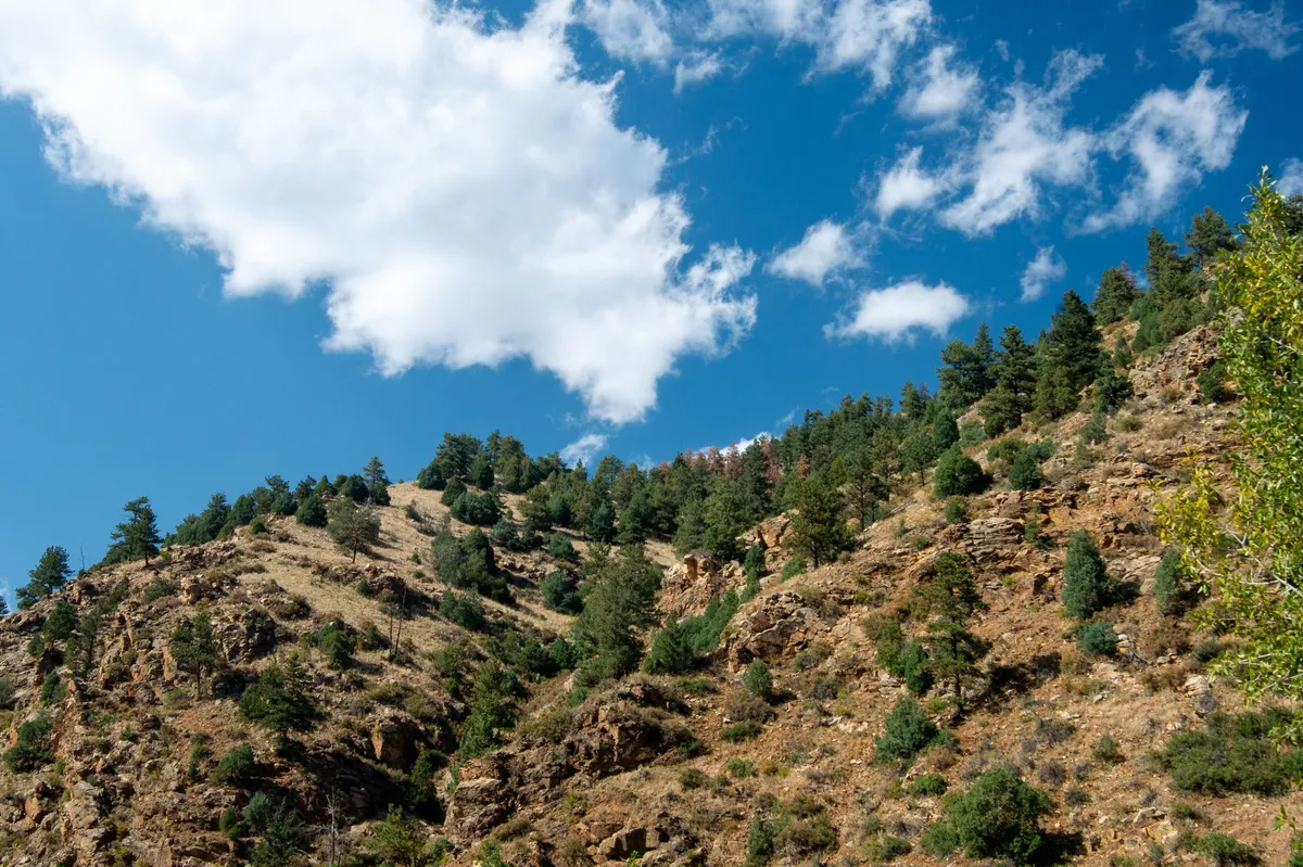 Colorado landscape