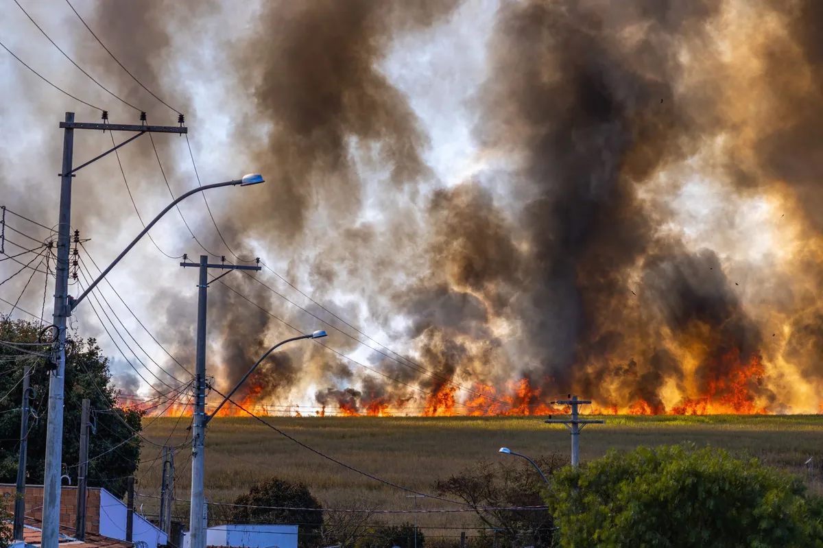 wildfire smoke and flames