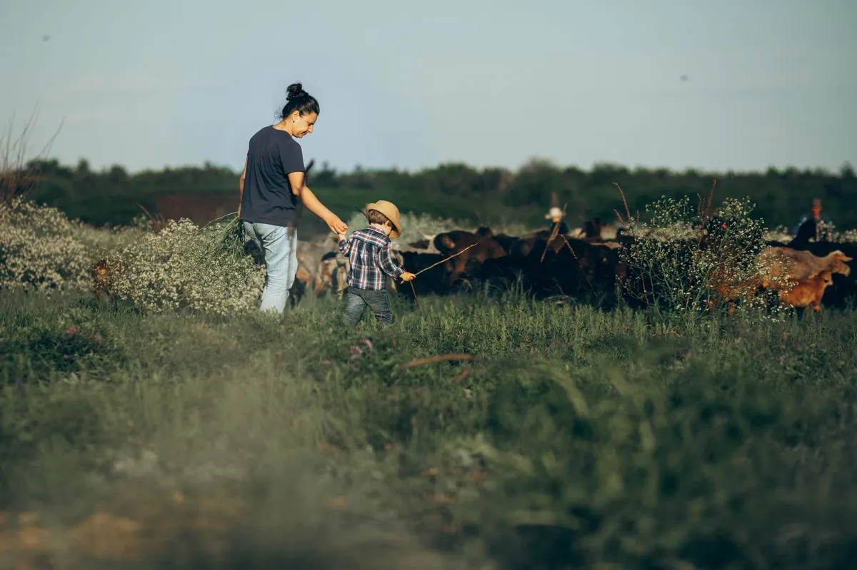 family farm landscape