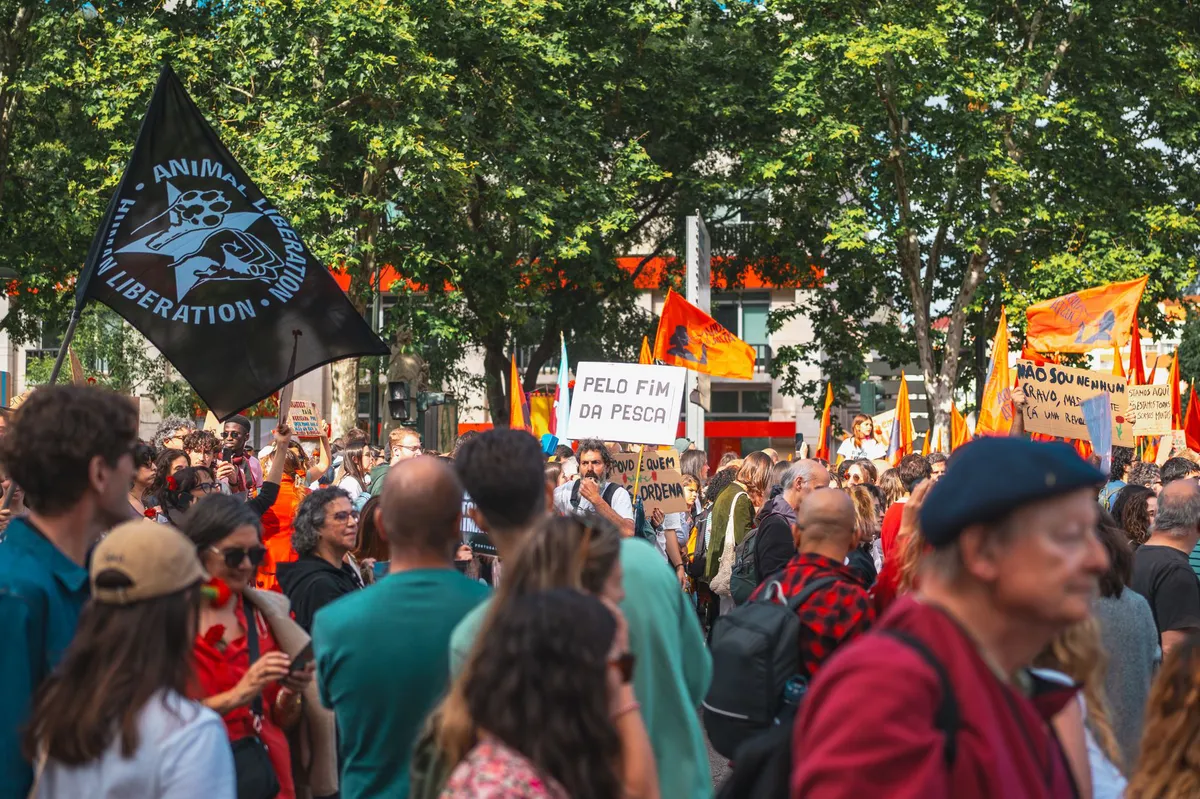 animal rights protest