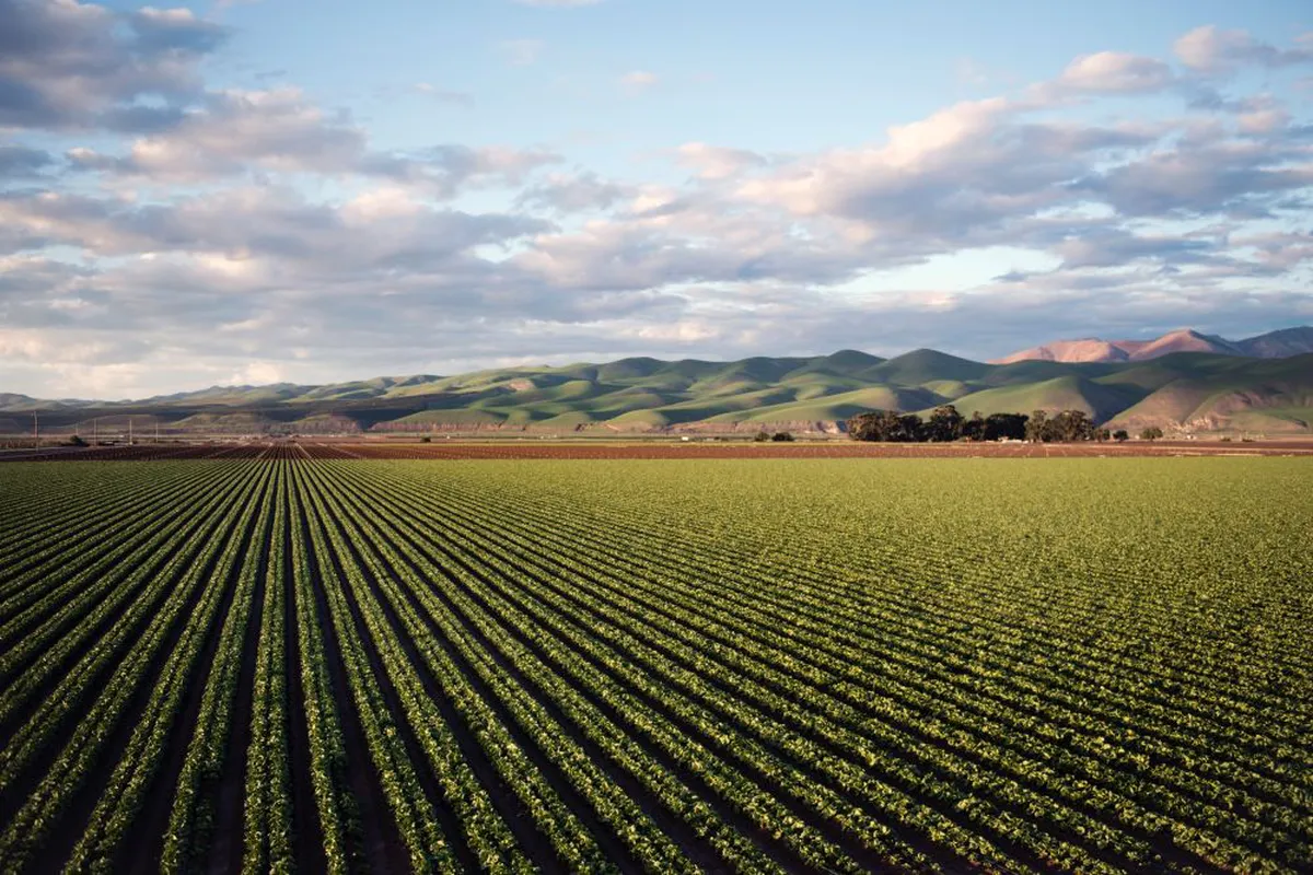 Farm Bill Draft Reflects Changing Attitudes on Animal Welfare Legislation