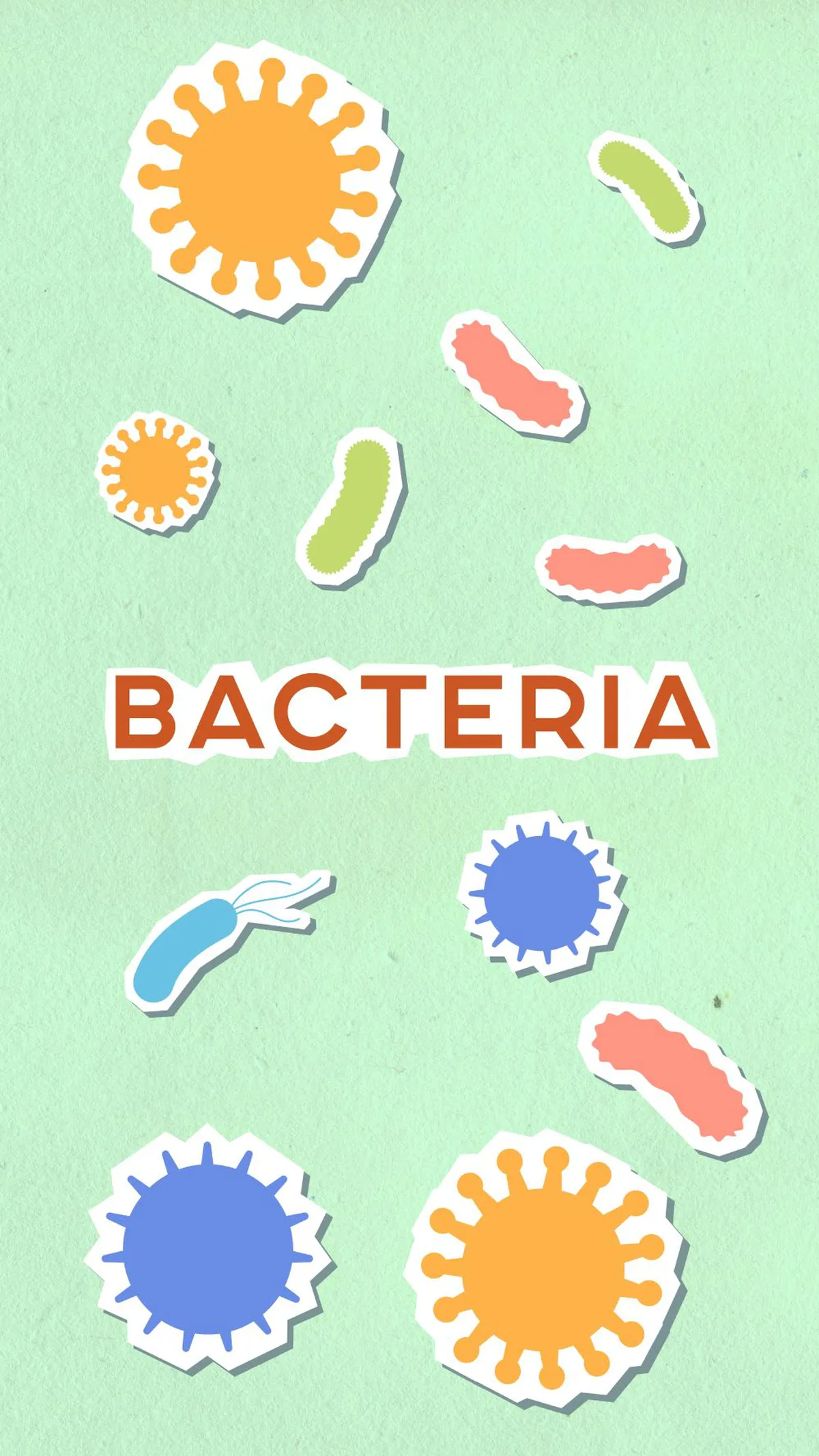How Gut Bacteria Might Influence Heart Health: The TMAO Connection