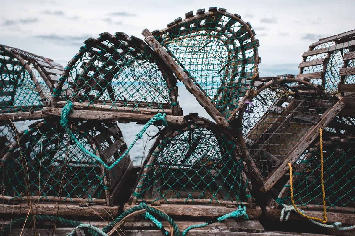 lobster fishing industry