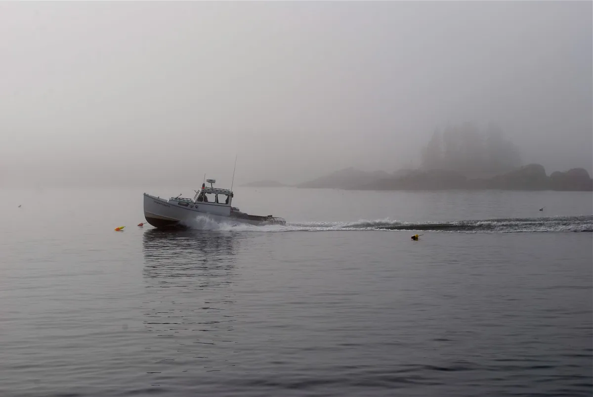 lobster fishing boats