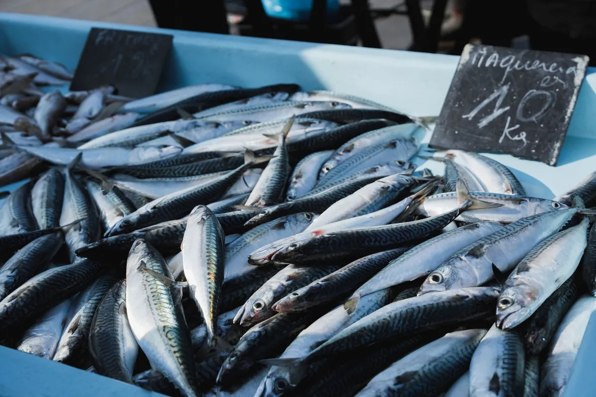 seafood market display