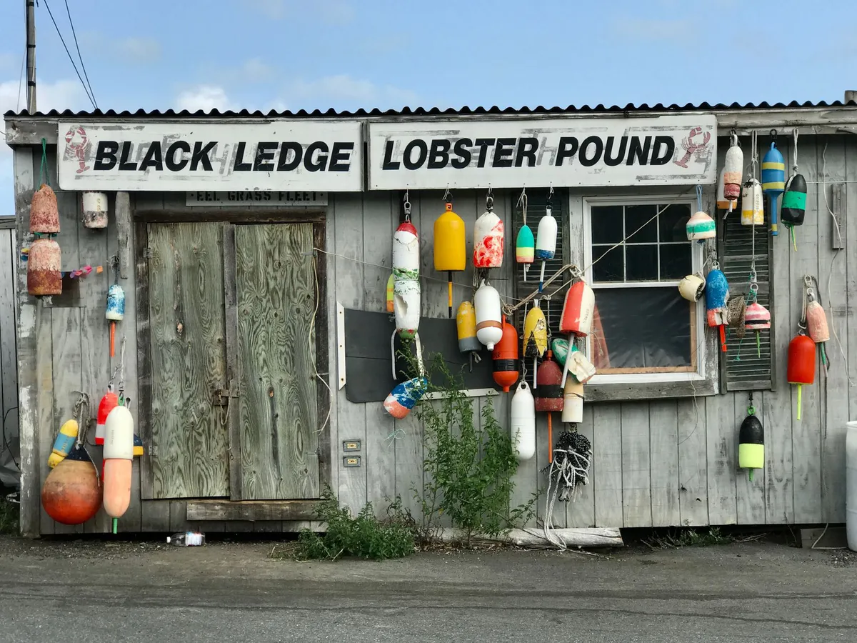 Maine Lobster Industry's Defamation Lawsuit Raises First Amendment Concerns Maine Lobster Industry's Defamation Lawsuit Raises First Amendment Concerns