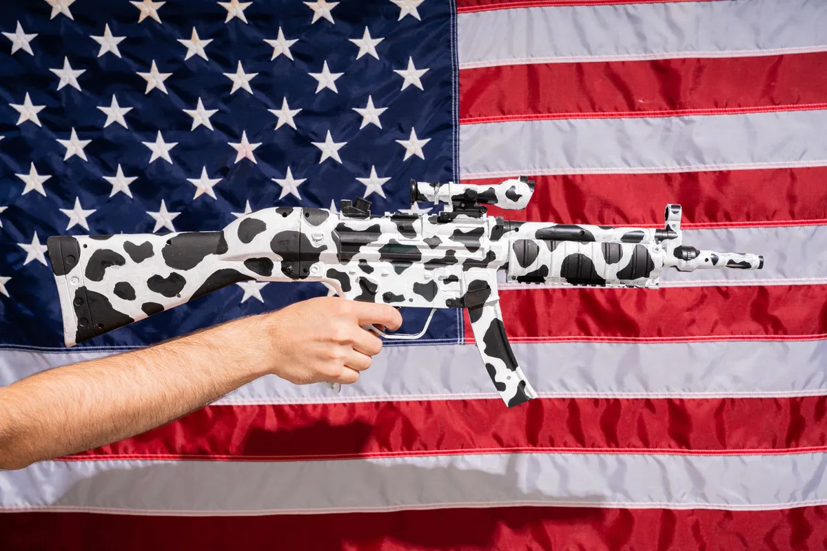 gun rights activism