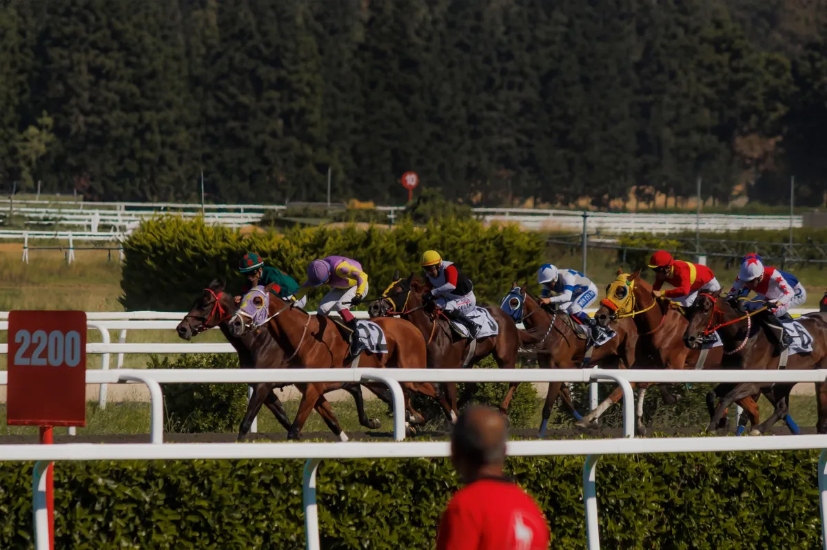 sports betting advertisement removal