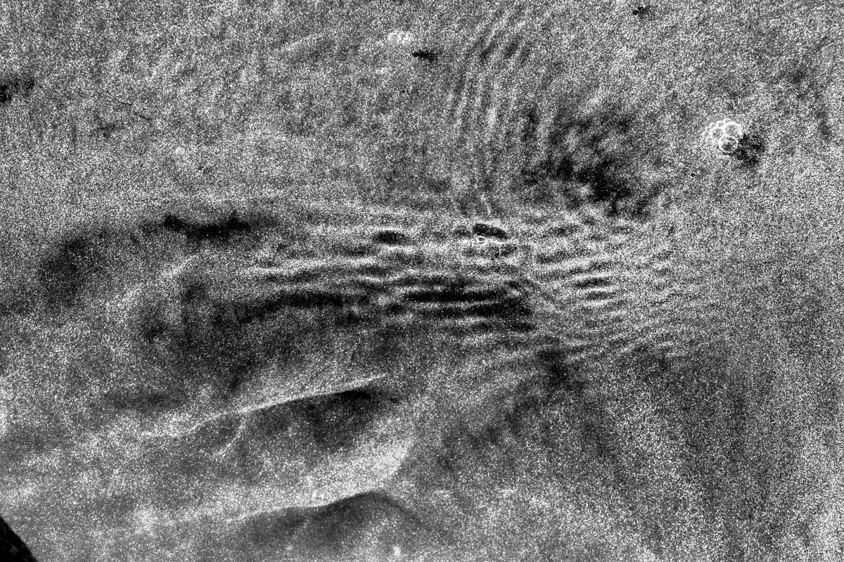 Venus surface simulation