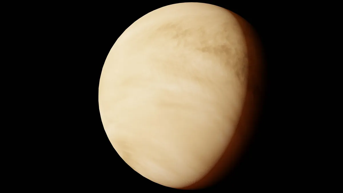 Tectonic Activity on Venus Reveals Insights into Planetary Formation