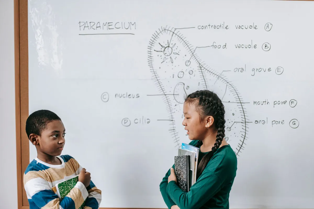 classroom discussion
