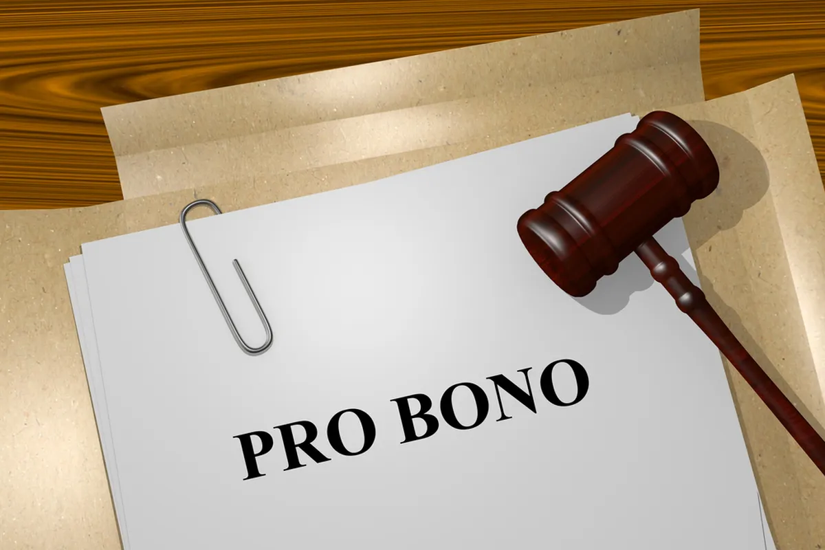 The Impact of Pro Bono Work by BigLaw Firms in 2025 The Impact of Pro Bono Work by BigLaw Firms in 2025