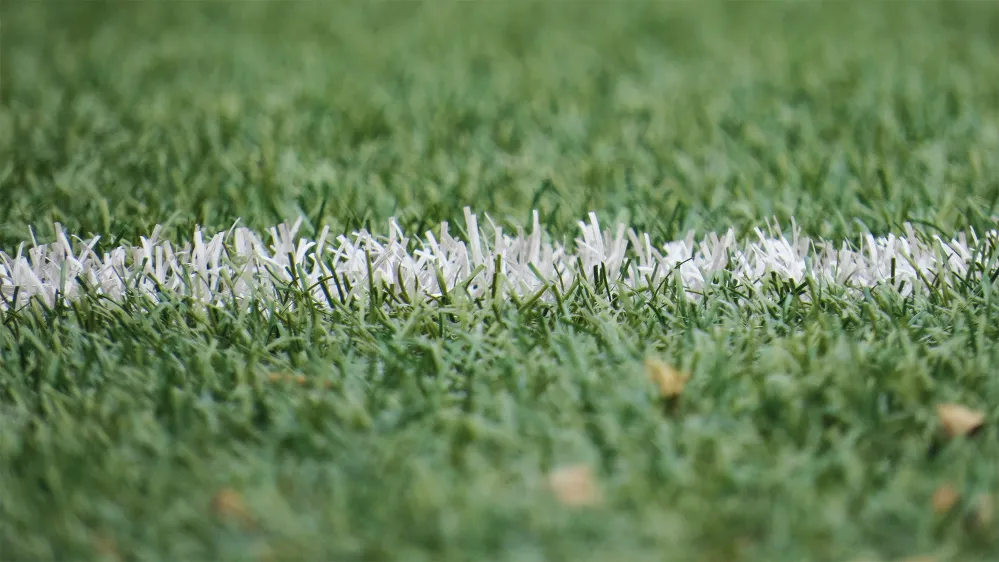 The Protect College Sports Act: A New Era for Athlete Welfare