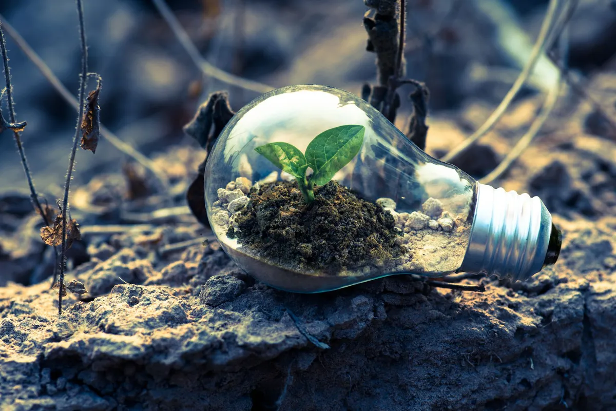 environmental conservation
