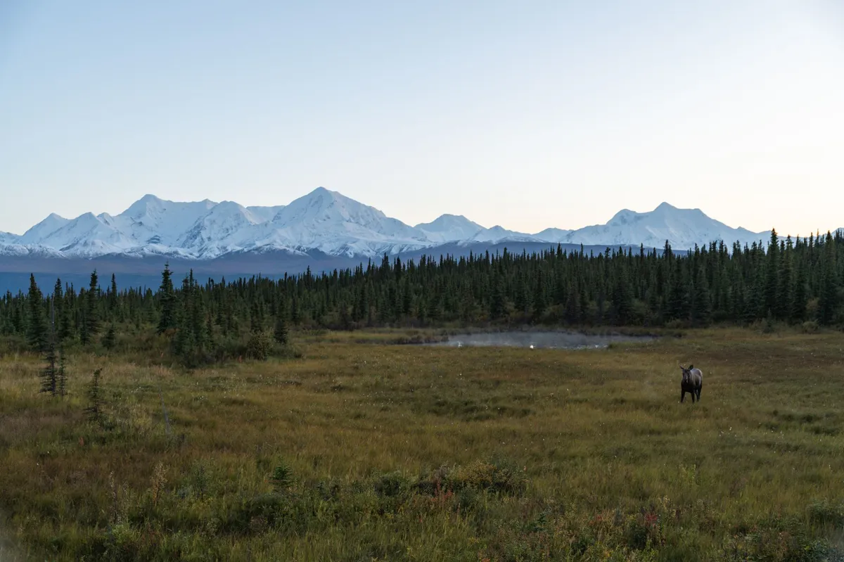 Alaskan wildlife refuge