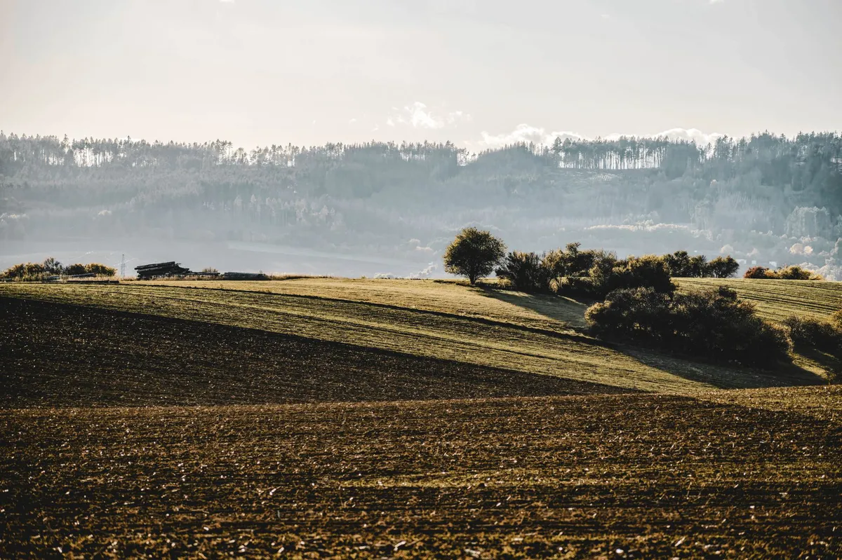 rural landscape
