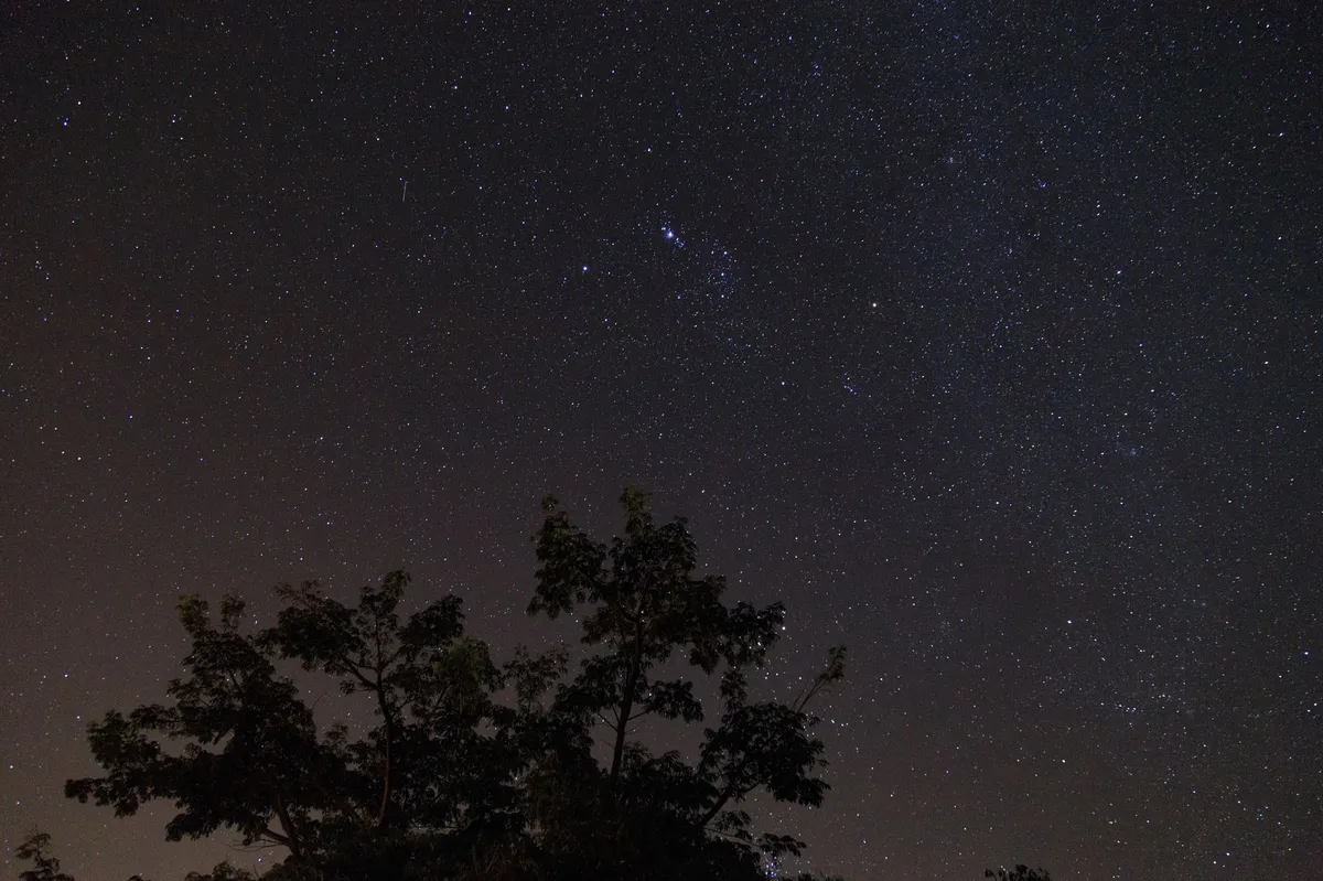 cosmic backyard stars