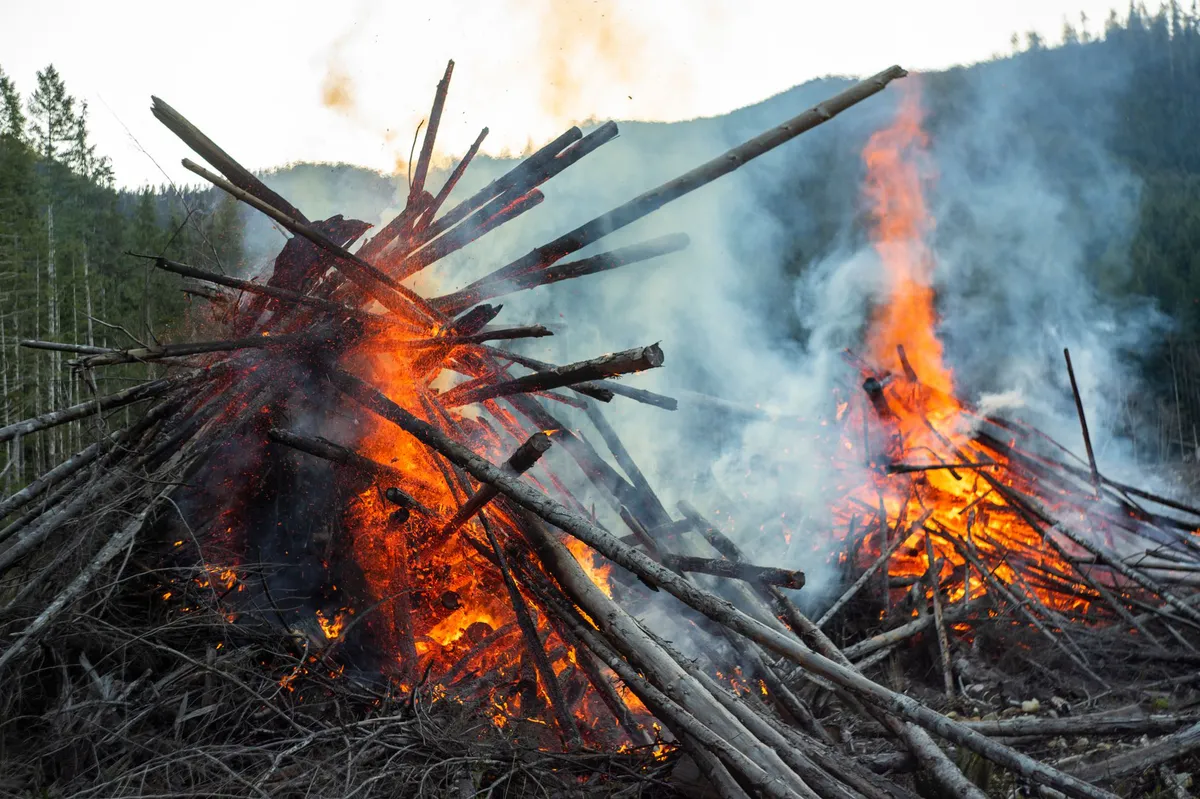 British Columbia Wildfires Displace Thousands as State of Emergency Declared