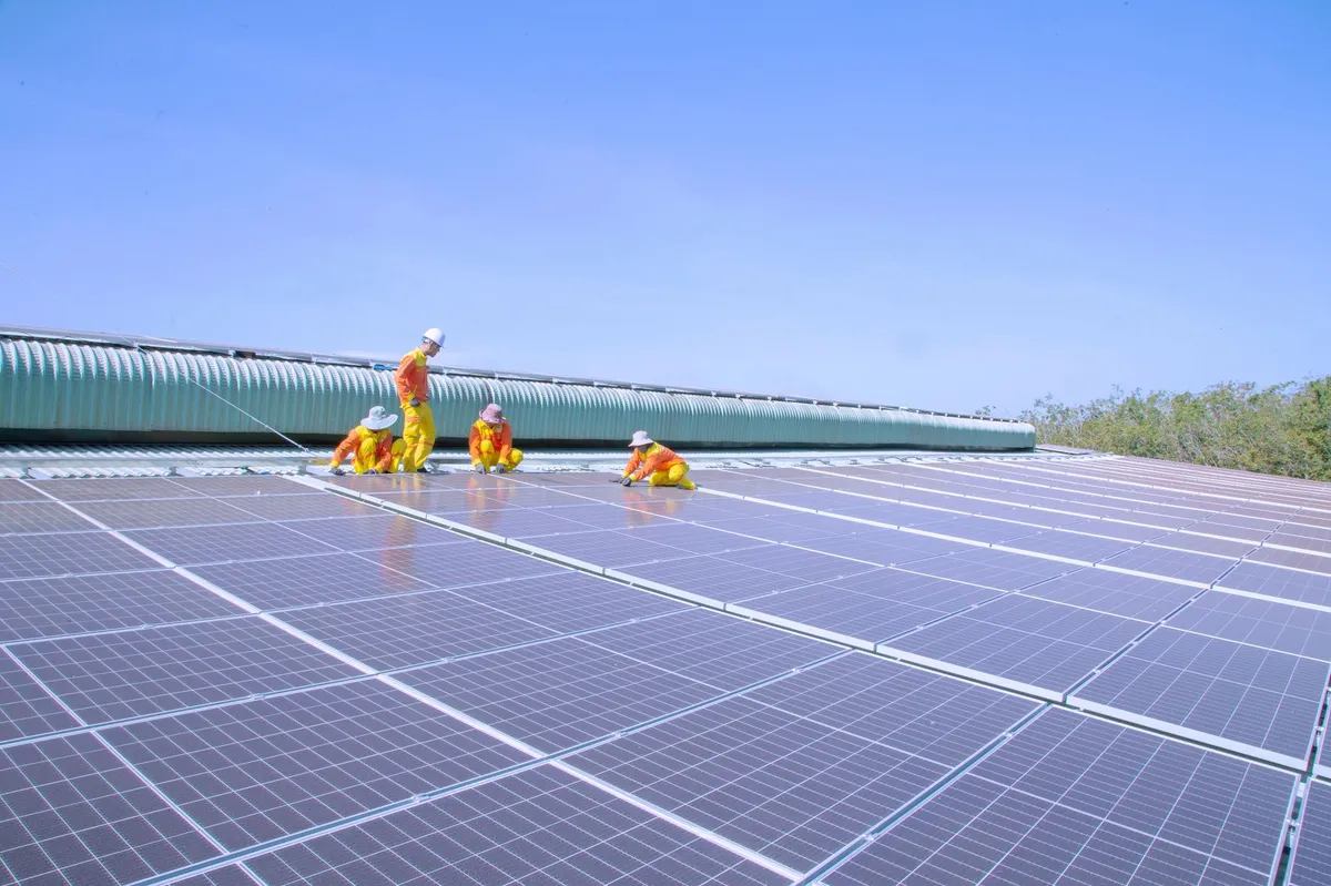 renewable energy workforce