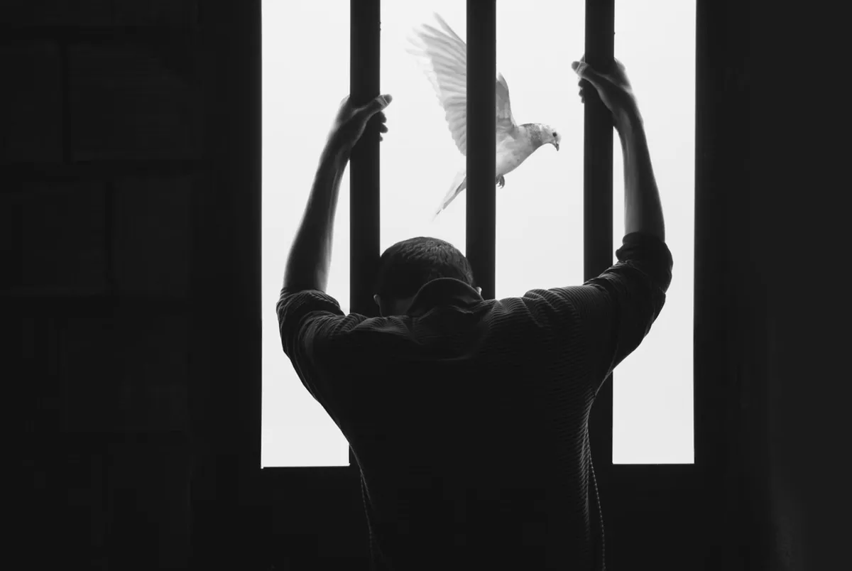 Canada’s New Review Commission: A Model for Addressing Wrongful Convictions Canada’s New Review Commission: A Model for Addressing Wrongful Convictions