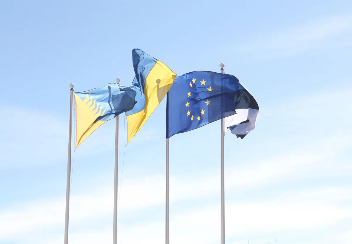 European Union flag