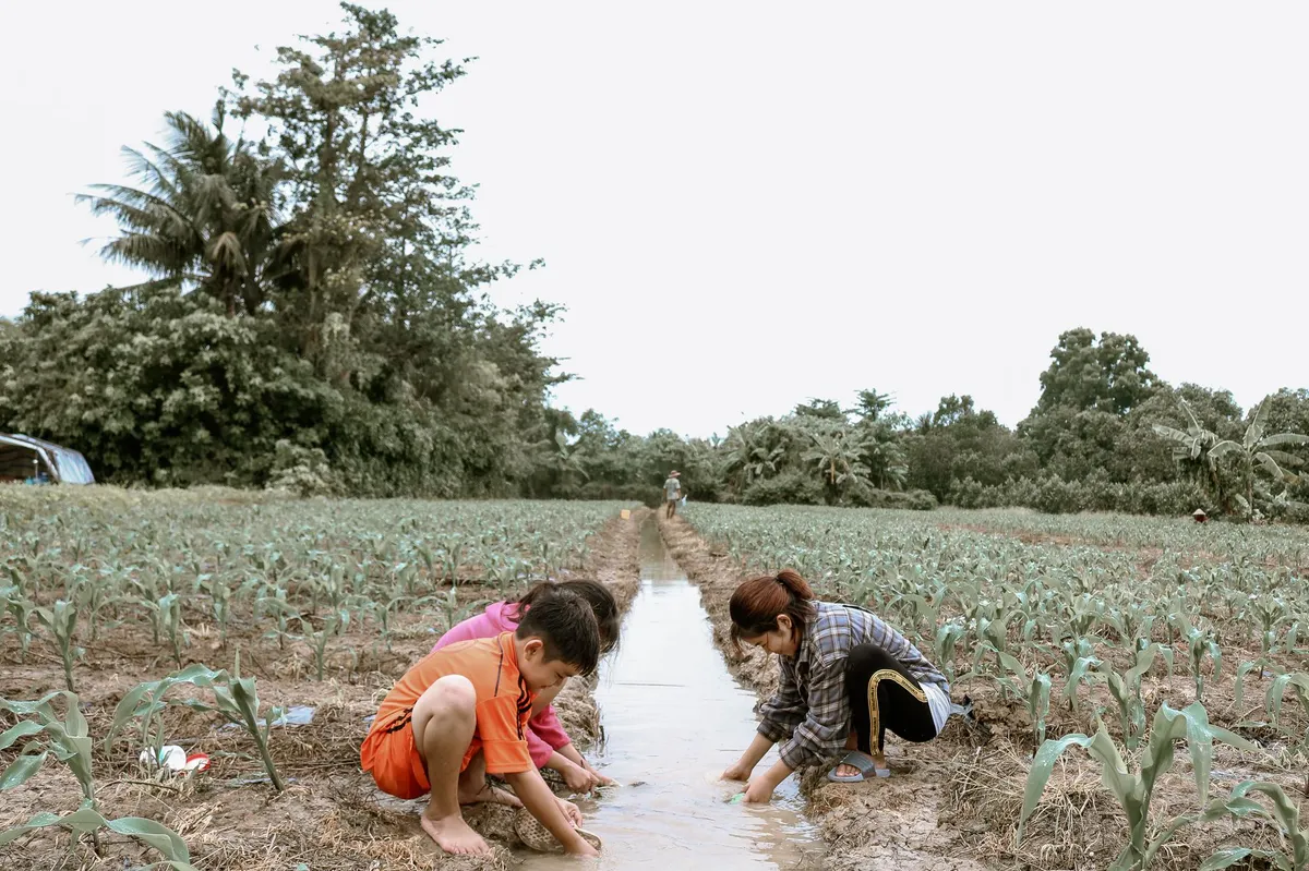 community water conservation