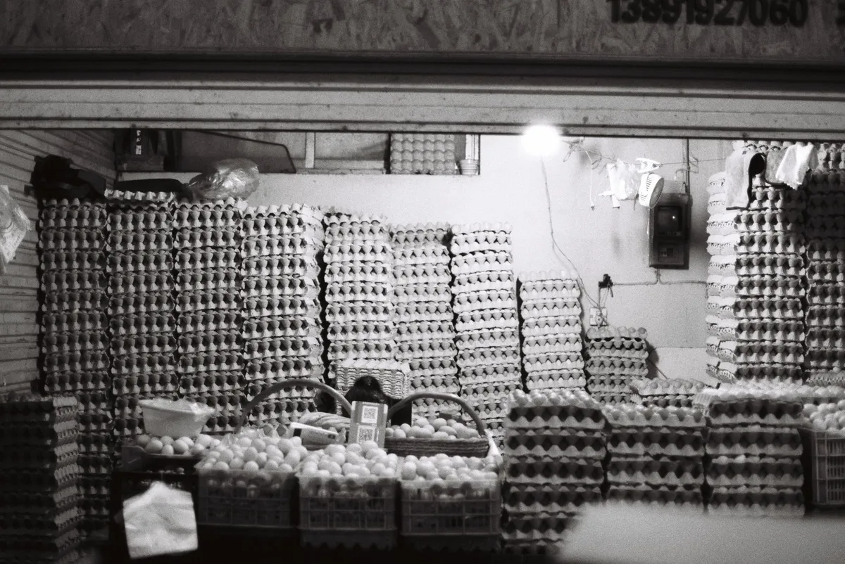 Court Decertifies Eggs Class Action Lawsuit: Implications and Insights Court Decertifies Eggs Class Action Lawsuit: Implications and Insights
