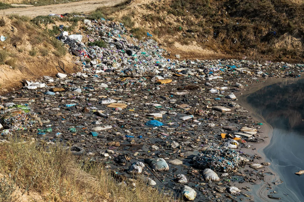 environmental pollution