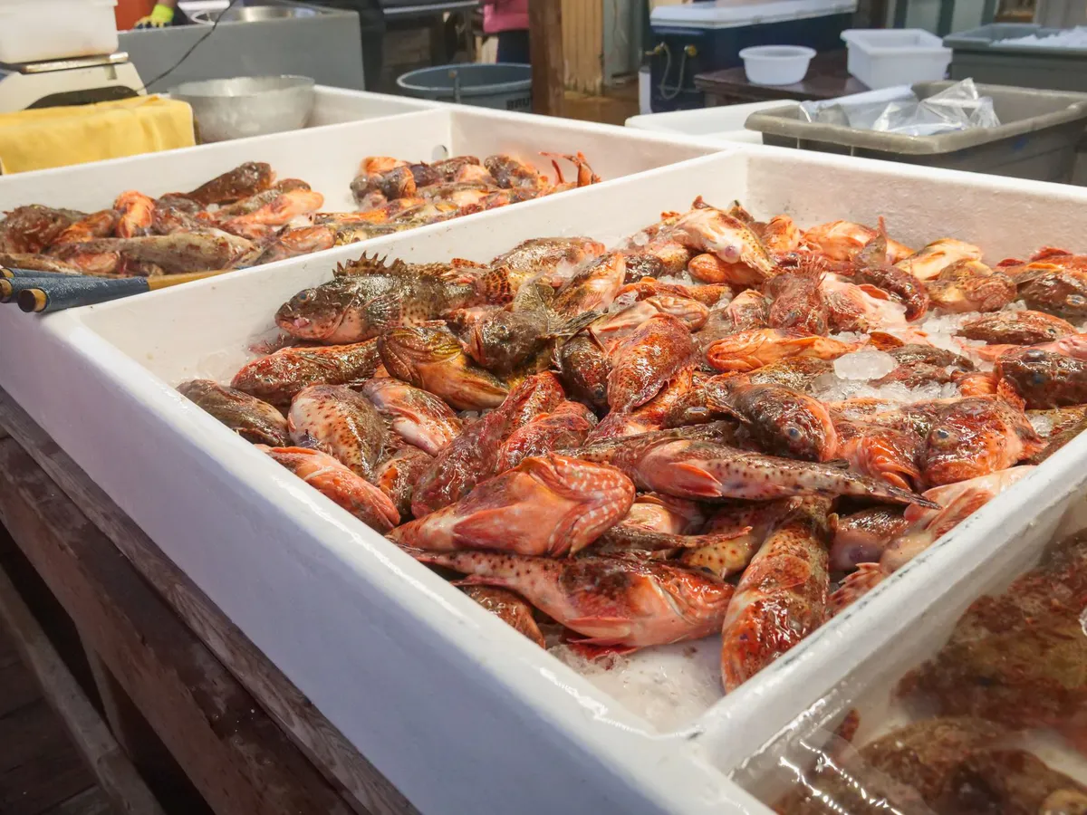 Diner Fights to Revive Class Action Over Seafood Fraud in Mississippi