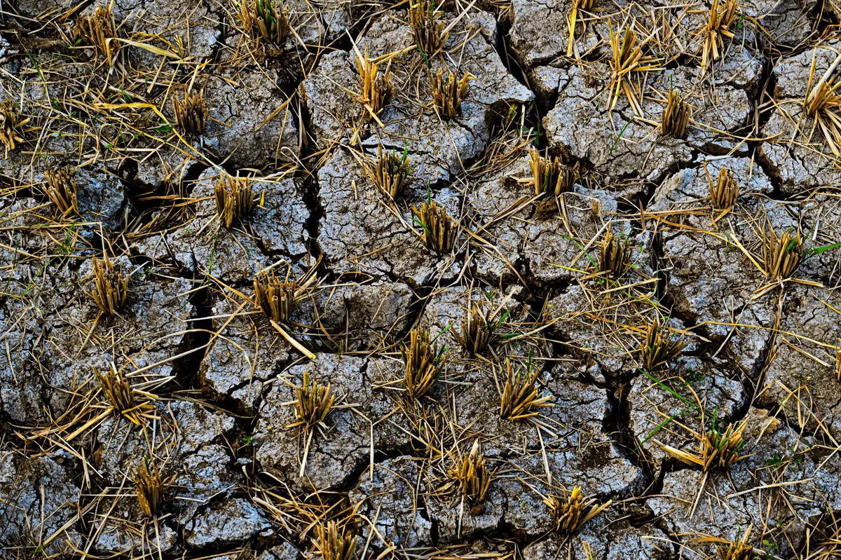 agricultural challenges