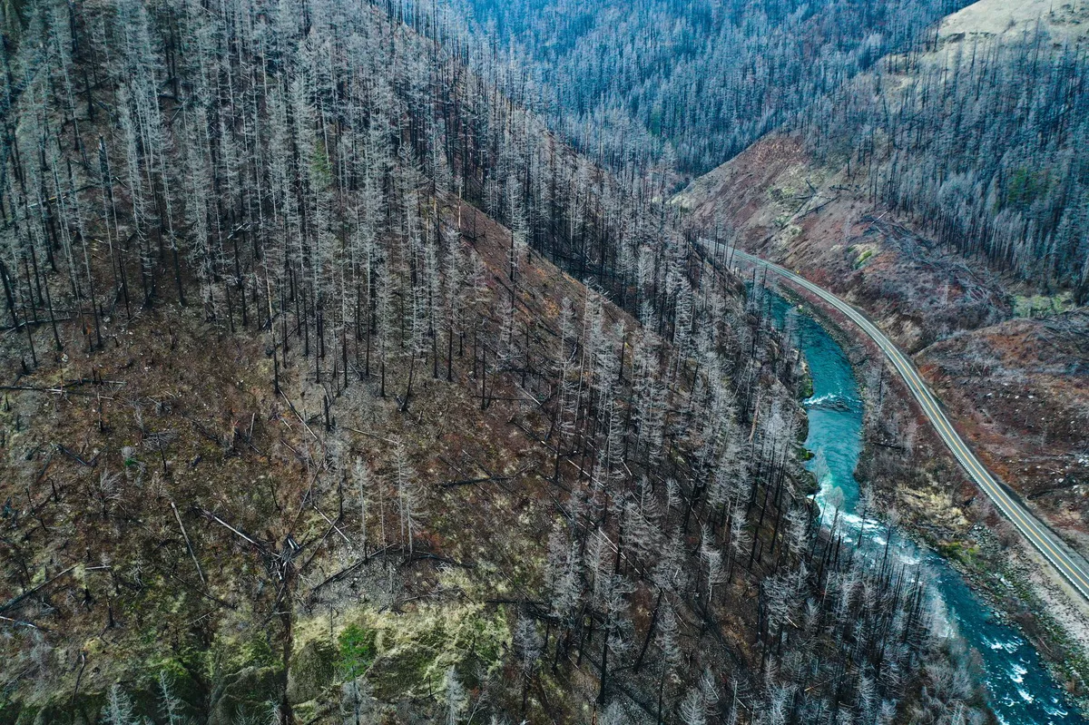 aerial view of wildfire damage