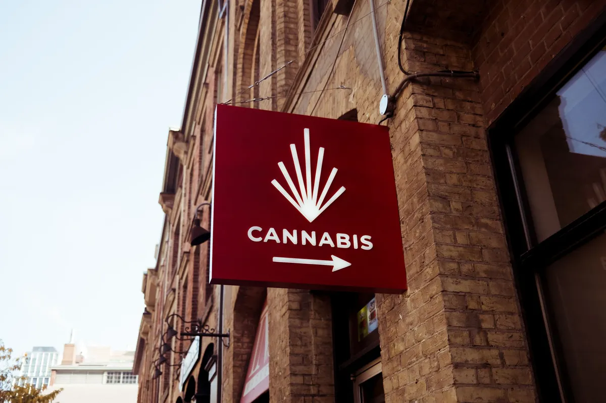cannabis business meeting