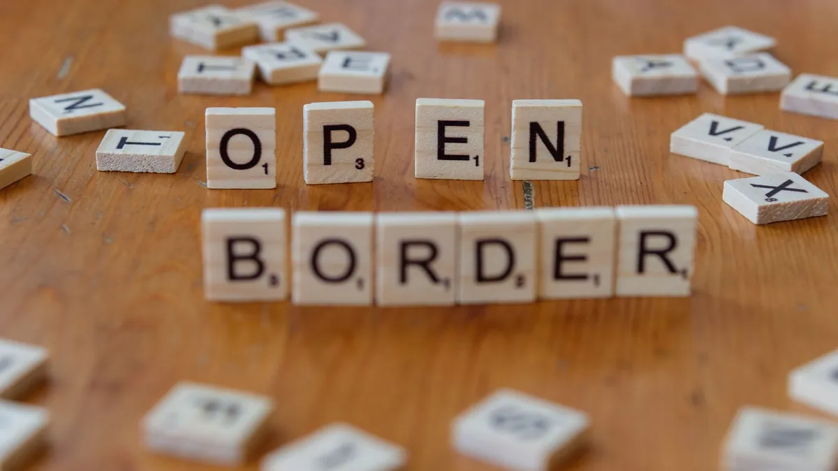 immigration law text