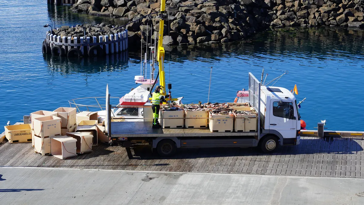 Iceland fishing industry