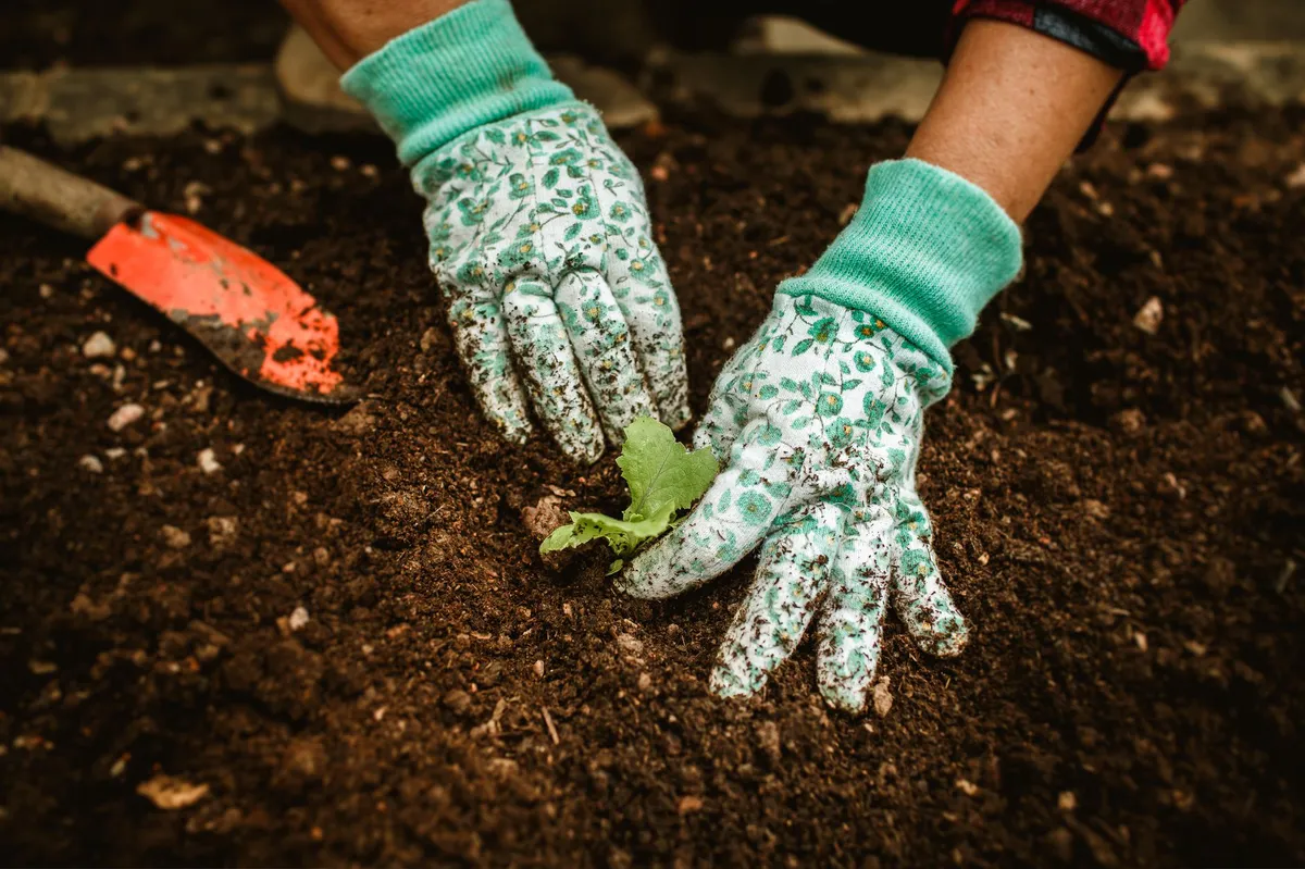 hands working in soil