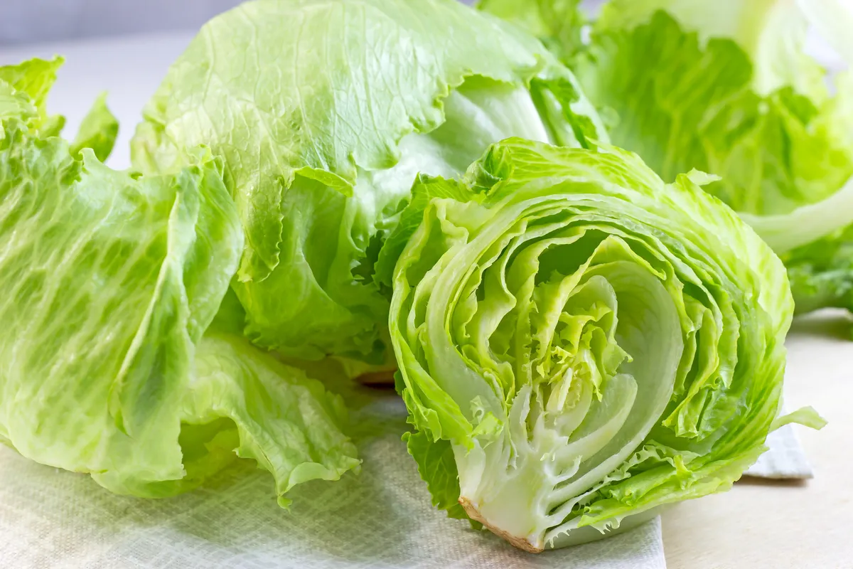 Legal Battle: Taco Bell and Taylor Farms Face Contaminated Lettuce Lawsuits Legal Battle: Taco Bell and Taylor Farms Face Contaminated Lettuce Lawsuits