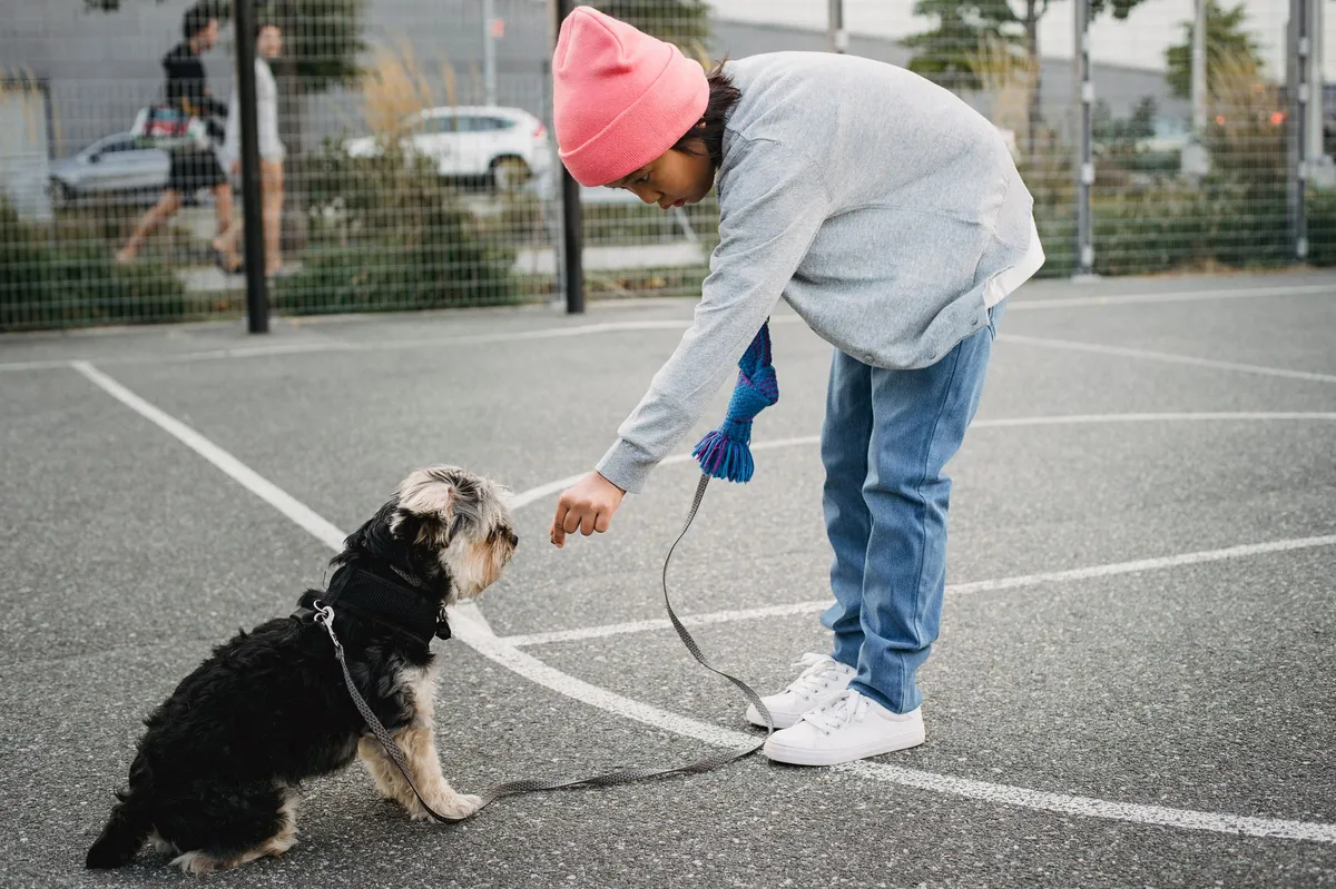 dog training session