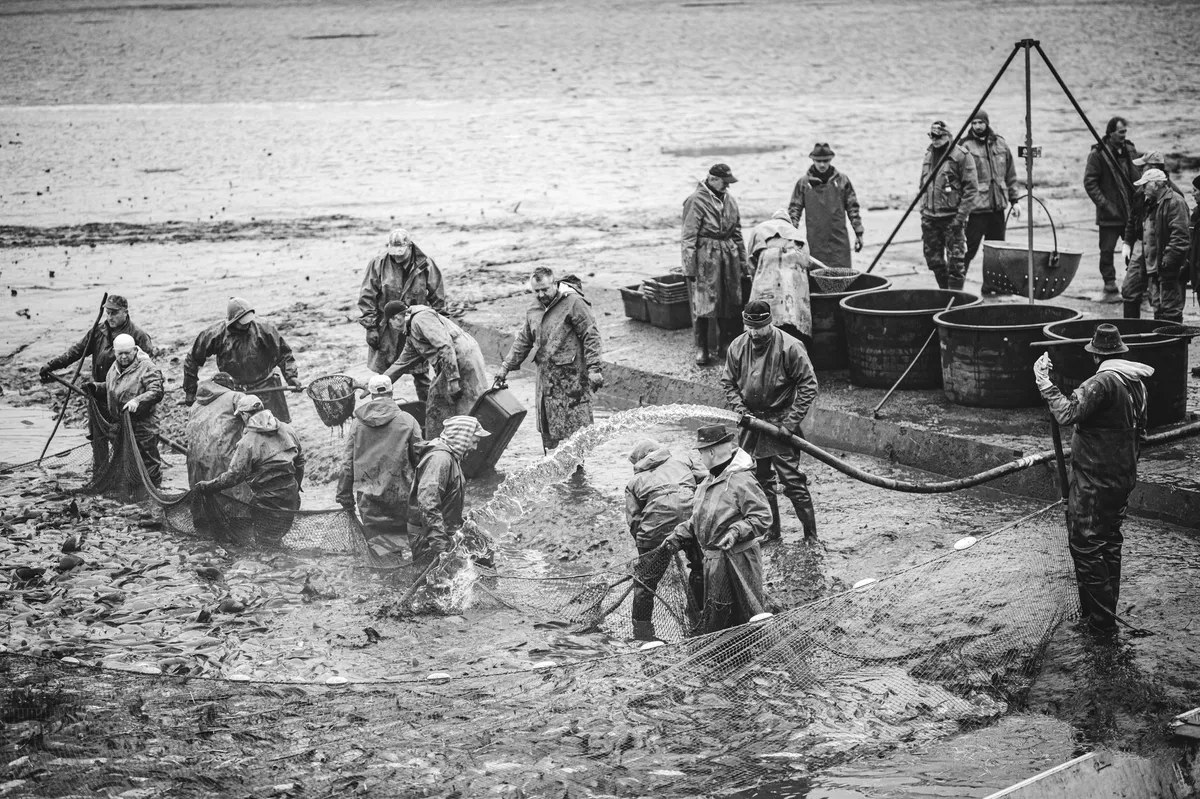 fishermen in Alaska