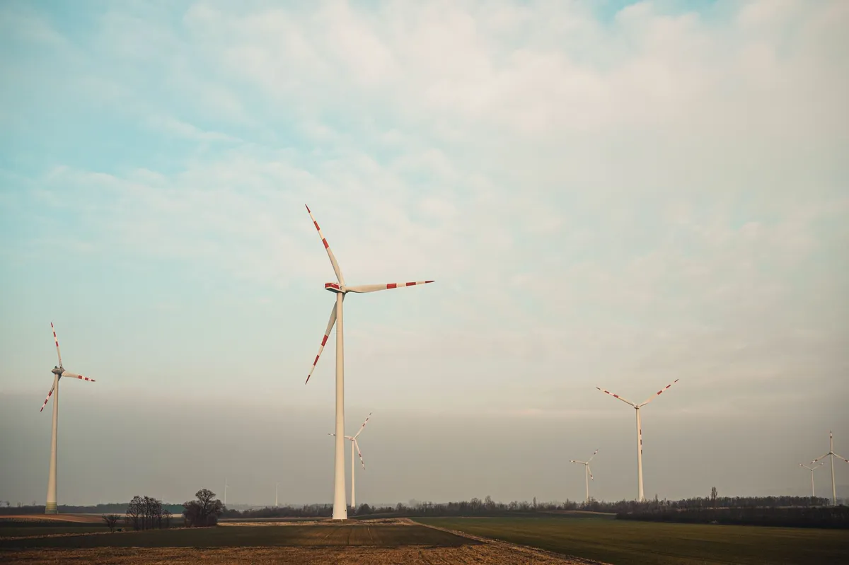 Renewable Energy at a Crossroads: Federal Judge May Reinstate Wind Project Reviews