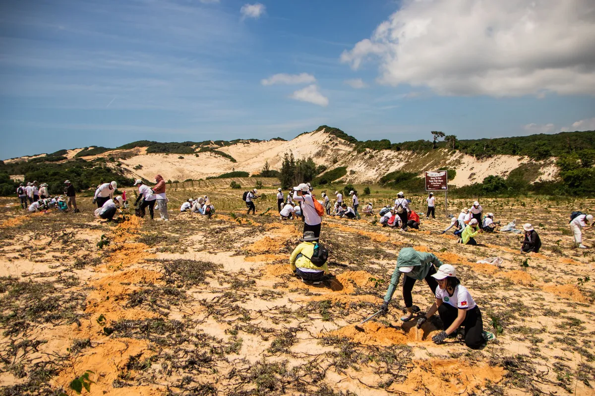 environmental conservation efforts