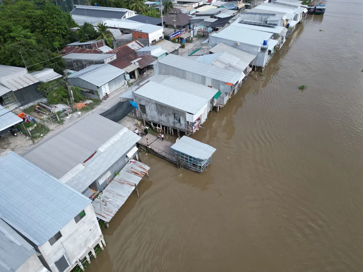Rising Sea Levels Threaten Coastal Wetlands: An Urgent Call to Action
