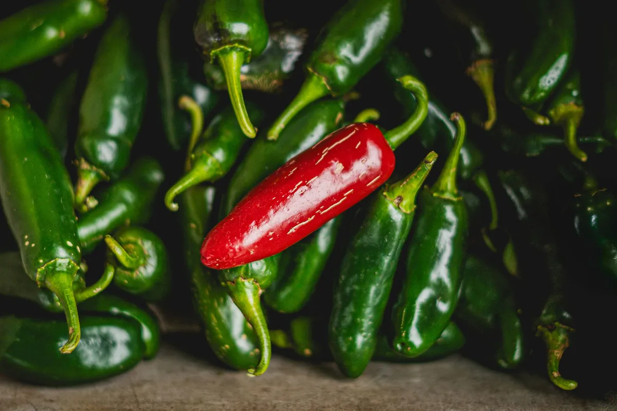 jalapeno peppers closeup