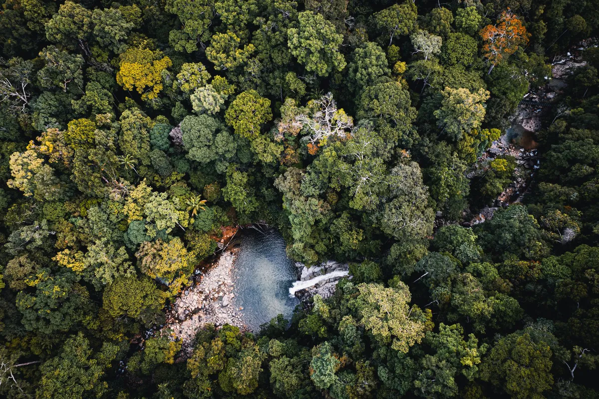nature conservation