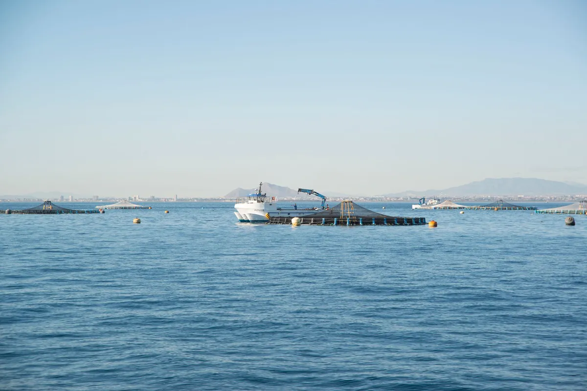 seafood aquaculture farm