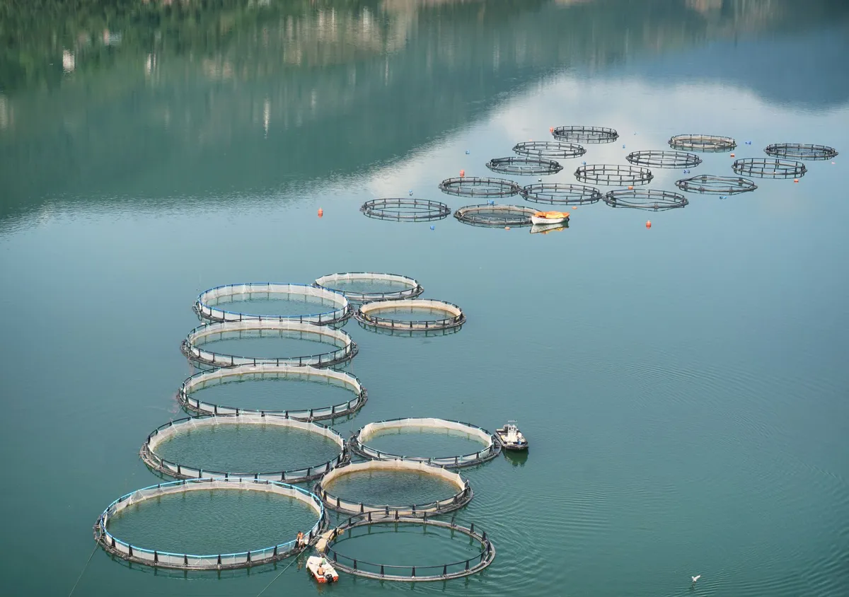 The Future of U.S. Aquaculture: Opportunities and Challenges