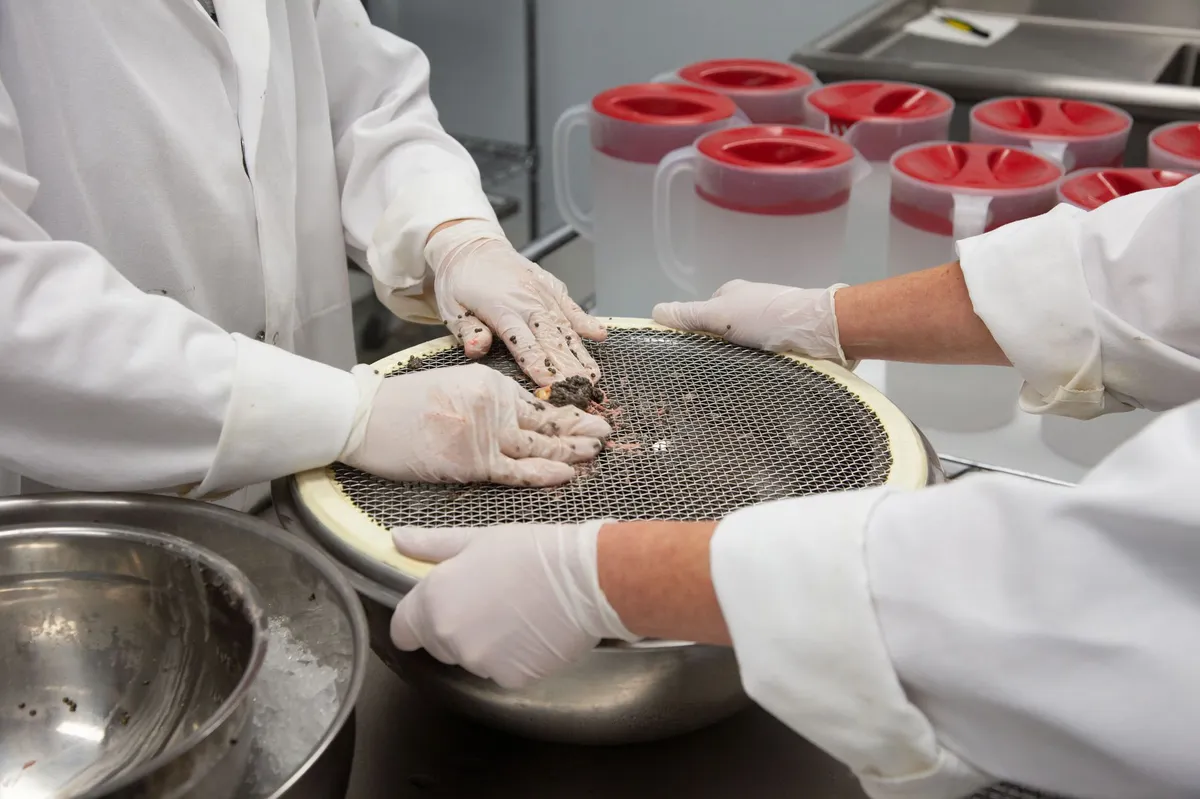 fast food testing kitchen