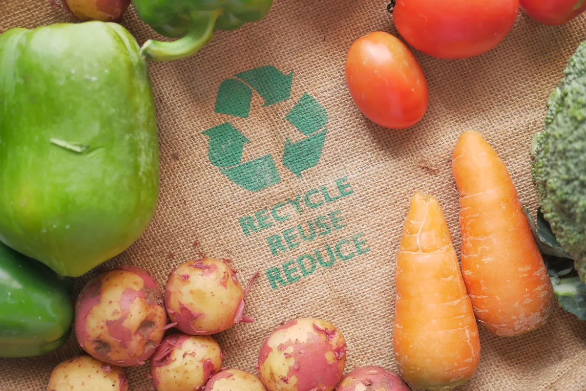 food sustainability concept