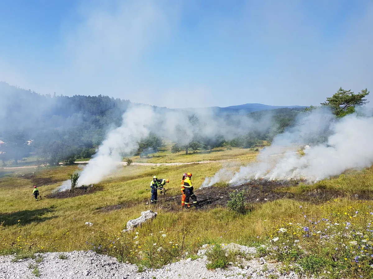 Wildfire Smoke Exposure: The Controversial Role of Glutathione Supplements Wildfire Smoke Exposure: The Controversial Role of Glutathione Supplements