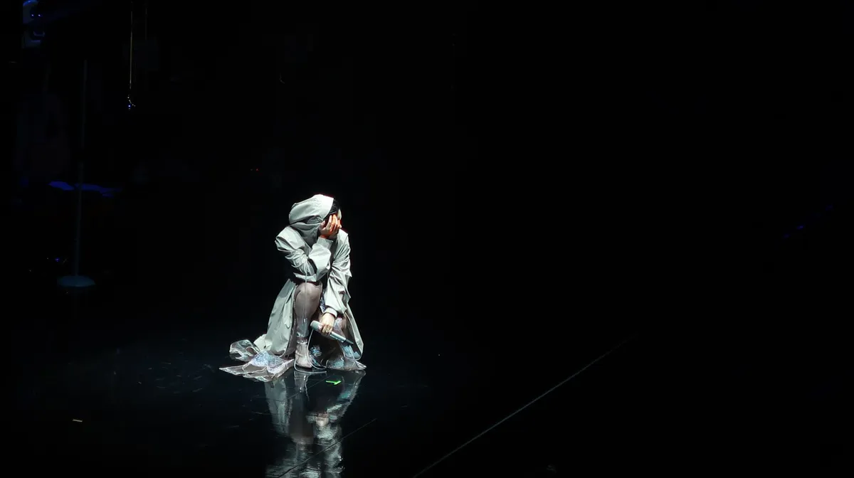 Celine Dion emotional performance